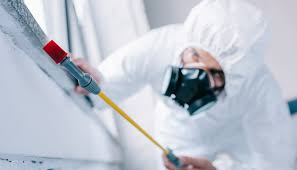 Best Pest Prevention Services  in Kean University, NJ